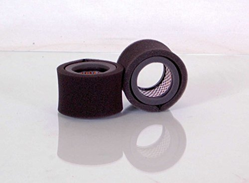 Luftfilter Ammann Stampfer DVS 68 E Luft Filter mit Robin-Motor E/EC 10