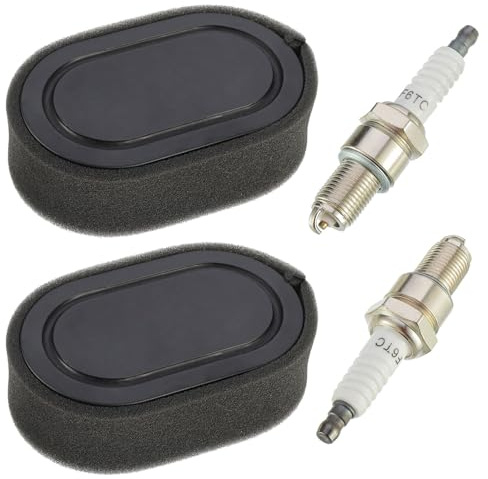 EPLZON 2 filtri aria e 2 candele per motori Briggs & Stratton 550E 550EX serie Eco-Plus 575EX Sostituisce 798339 798452 593260 093000er 09P0000er Motore 4247 5432 5432K, con spugna