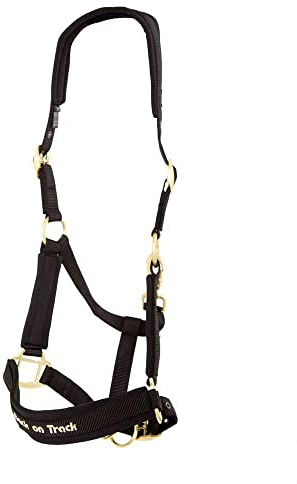 Back on Track Halfter Werano Full