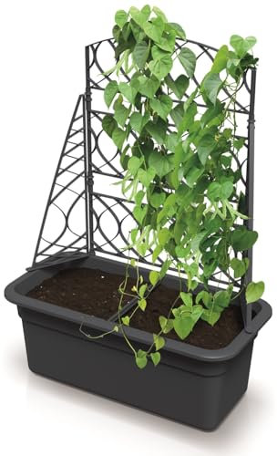 Blumenkasten Blumentopf Rankkasten Pflanzkübel Blumenkübel 58 cm mit Rankgitter Hochbeet mit Spalier Pergola Rankhilfe Höhe 80 cm Anthrazit