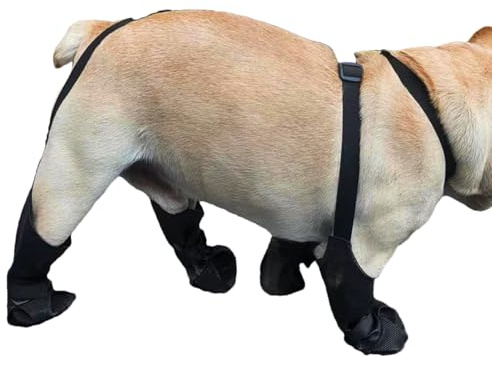 Hundeschuhe | Verstellbare Hundestiefel Für Haustiere,Schmutzabweisender Pfotenschutz Für Winter Schnee Regen Outdoor Wandern Training Reisen