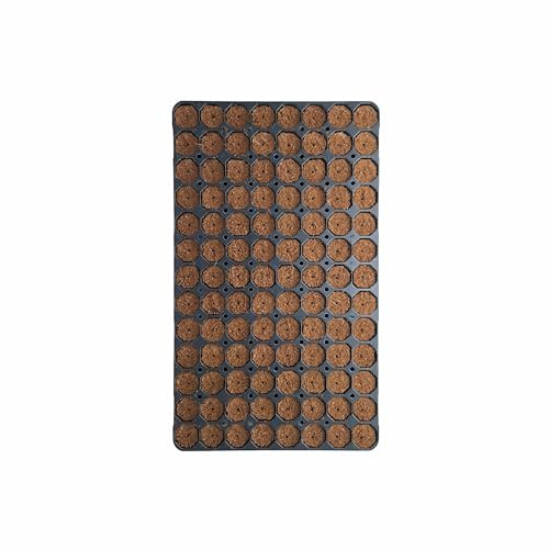 + control GARDEN Bandeja de Semilleros de Germinación 104 Alveólos | Propagador de Semillas con Tierra y Orificio para Semilla o Planta | Mejor Desarrollo Raíces | Biodegradable