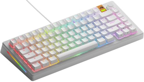 GLORIOUS GMMK 3 TKL 75% Tastiera Meccanica QWERTY ANSI | Frequenza Di Polling Altissima, Scocca Lavorata A Macchina CNC, Architettura Modulare Hotswap E Illuminazione Luce Led RGB