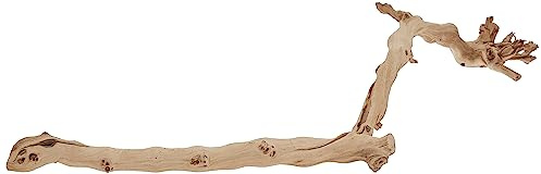 Exo Terra Forest Branch, Large (Exact Size May Vary)