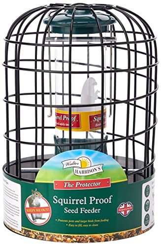 Walter Harrison's Squirrel Proof Hanging Bird Feeder, 20 cm (Pack of 1) | Easy To Fill & Clean, Durable & Weather Resistant Seed Feeder, Ideal For Various Birds