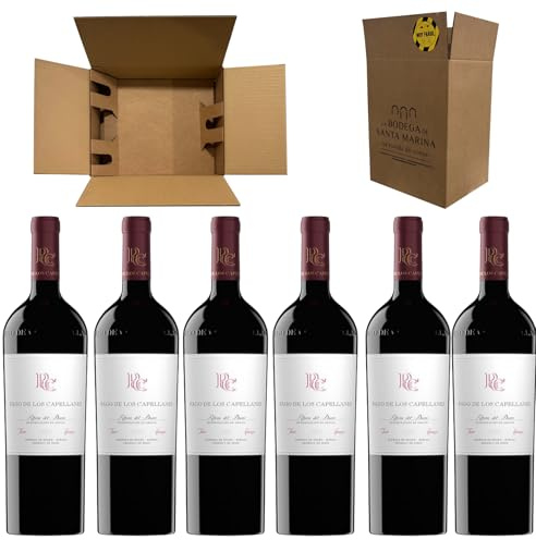 Capellanes Crianza 2022 - Vino Tinto de Ribera del Duero| 14.5% Vol. | Variedad Tempranillo| Ideal para Disfrutar con los Tuyos | Nueva Añada toda una Maravilla Degustativa