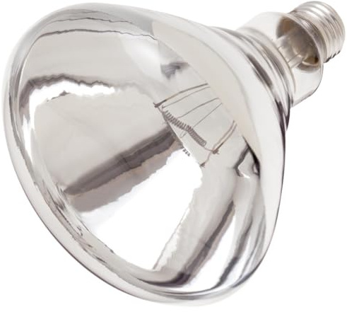 Satco S4885-250 Watt R40 Incandescent Clear Heat Light Lamp Bulbs - 120 Volt - Shatter Proof - Rated for 6,000 Hours (2 Pack)