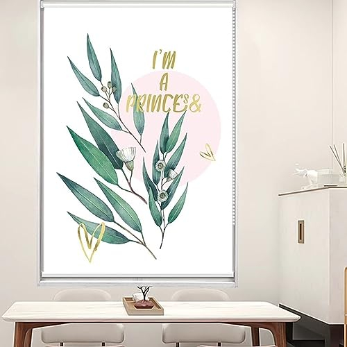 Rollos Modernes Sichtschutz-Fensterrollo mit Bedrucktem Bild, Wasserdichter Anti-UV-Rollo für Die Trennwand Im Küchenbüro, Individuelle Größe (Size : 60x170cm/23.6x67in)