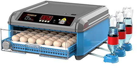 kowaku Automatischer Eierinkubator für Geflügel mit Einstellbarer Temperatur, abnehmbarem Gestell und Bruteiern, 48 Eier