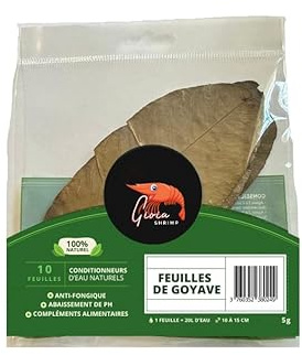 Gioia SHRIMP 10 x Guavenblatt / natürlicher Wasseraufbereiter / für Ihre Fische und Garnelen im Aquarium