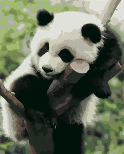 Panda-Tier Malen nach Zahlen Erwachsene DIY Handgemalt Ölgemälde Malerei auf Leinwand Kinder Anfänger Malsets mit Pinseln Acrylic Paint by Numbers Kits Haus Wand Decor Geschenk 70x90cm,ohne Rahmen