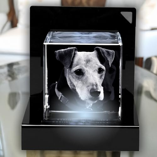 contento | 3D Glasfoto Laserbild | Dein Foto in einem exklusiv Glasblock mit Premium LED Sockel | 1 Personen/Tiere | Geschenkidee Hund oder Katze | Größe XXS hoch (55x45x30mm)