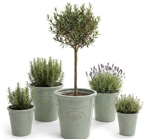 My Square Mile Garden Plant Pot, Sage Green, 40cm x 40cm 34 Litres | Plastic, Outdoor & Indoor Use, Heavy Duty, Frost Proof, Drainage Holes