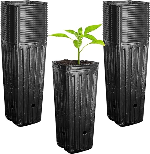 Lot de 50 grands pots d'arbres profonds en plastique pour pépinière - 30 cm de haut - Pour plantes de jardin d'intérieur et d'extérieur