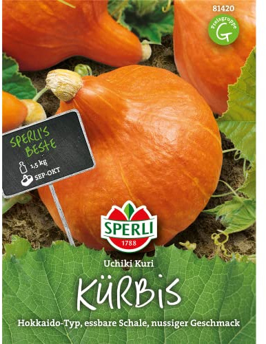 Kürbis Uchiki Kuri - Hokkaido-Typ