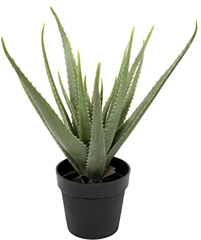GreenBrokers Künstliche weiche Aloe Vera Sukkulenten in schwarzem Topf, 61 cm
