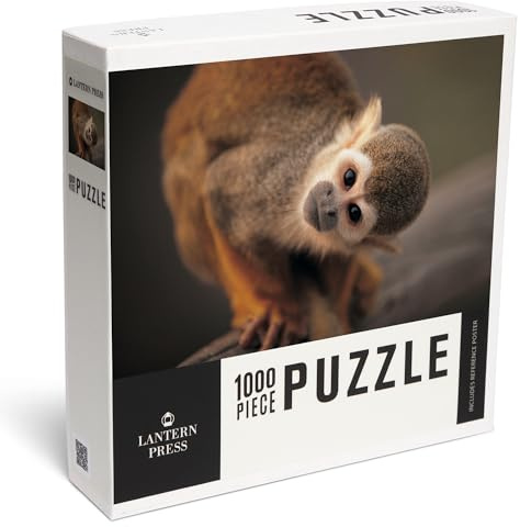 Lantern Press Squirrel Monkey 1000 Piece Jigsaw Puzzle for Adults, Made in USA with Reference Poster