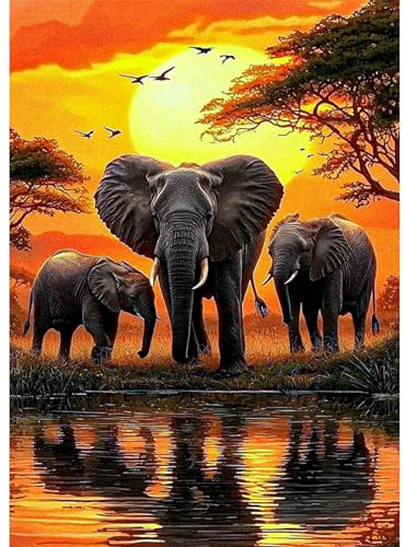 KEYIFA 5D Elefante Diamond Painting Kit Completo, Cristal Lienzo Foto Pintura Diamante para Adultos, Animales Diamond Painting Art con Accesorios DecoracióN De Pared Hogar 30x40cm