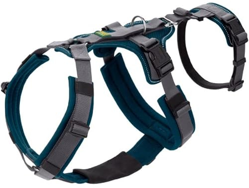 HUNTER Sicherheitsgeschirr Maldon Farbe Petrol/grau, Größe S-M