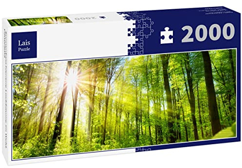 Lais Puzzle Alberi di latifoglie Illuminati dal Sole nella Foresta, Panorama 2000 Pezzi