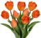 6 tulipanes y 3 capullos de tulipanes, flores artificiales de tacto real, tulipanes de látex artificiales, ramos, arreglos de mesa, regalo para el hogar, oficina, fiesta, boda, cumpleaños, jardín,