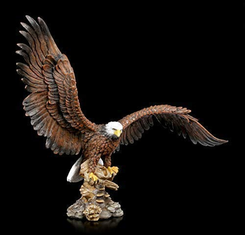 Figuren Shop GmbH Weißkopfseeadler mit ausgebreiteten Flügeln 40 cm | Adler-Dekofigur, handbemalt