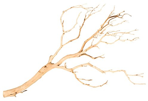 NaDeco Manzanita Baum sandgestrahlt ca. 120cm hoch Manzanita Zweig Sandgestrahlter Natur Zweig Dekobaum Hochzeitsbaum Dekobaum Dekozweige