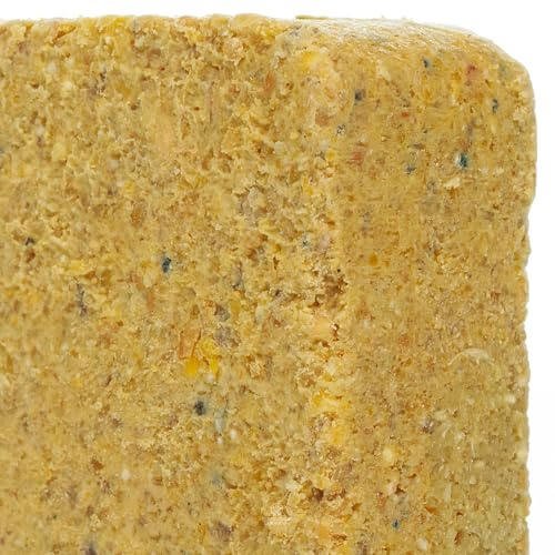 BusyBeaks Suet Fat Blocks | Premium Grade Garden Wild Bird Food | Enhanced Formula | Naturally Blended High in Energy & Protein-Rich Feed | Full of Nutritious Fat Fibre & Moisture (Worm & Insect, 25)