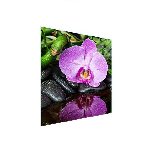 DarHuas Herdabdeckplatte 50x52 cm 1-teilig Ceranfeldabdeckung Induktion Herdschutz Spritzschutz Glasplatte Deko Schneidebrett, Orchidee Violett
