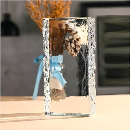 Briques de Verre rectangulaires Transparentes multifonctionnelles avec Protection de la Vie privée pour la Salle de Bain et la Chambre à Coucher (10 pièces)