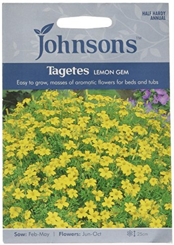 Johnsons 17647 Flower Seeds, TAGETES Lemon Gem, Yellow