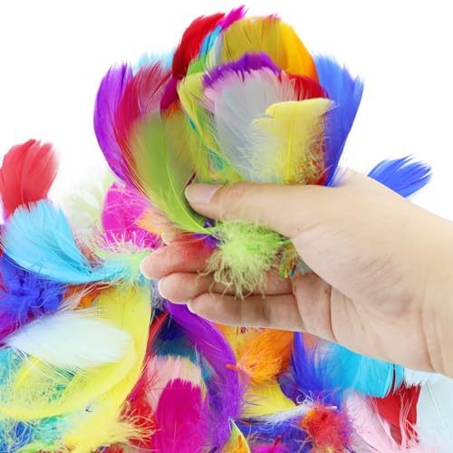 DNDGDLUA 500 bunte Federn, Handwerksfedern, natürliche Federn, Handwerksfedern, flauschige Federn, gemischte Farben, für Bastelarbeiten, Partys, Dekorationen, Hüte oder Haare.