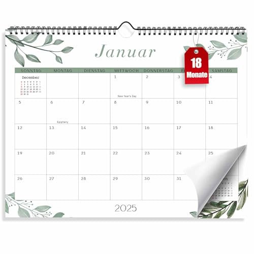 Kalender 2025 Wandkalender, 18 Monatskalender 2025/26, 37,5 x 29,1 cm Großer Familienplaner 2025 mit Jahreskalender Planung, Paarkalender vom Januar 2025 bis Juni 2026 (Eukalyptus)