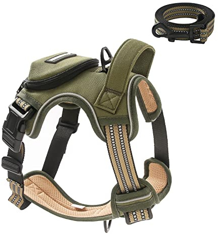No Pull Dog Harness for Medium Dogs, Adjustable No Choke Pet Vest with Dog Leash Fit Smart Reflective Pet Walking Harness for Training Easy Control Soft Handle Green M