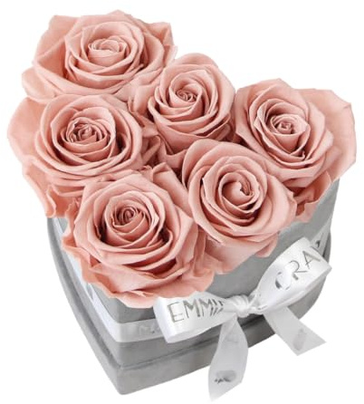 EG EMMIE GRAY Classic Infinity Rosenbox | Herz | Grau - Größe S mit 7 ± 1 Infinity Rosen, bis zu 3 Jahre haltbar, Flowerbox aus Samt mit konservierten Rosen, Blumenbox (Antique Pink)