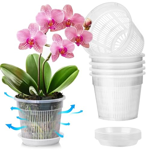 T4U 11cm Clear Orchid Pots, Small Plant Pots Indoor with Saucer, 6 Pack | Plastic Flower Pot with Slotted Drainage Holes for Repotting, House Plant Pots Indoor, Orchid Planter for Visible Root Health