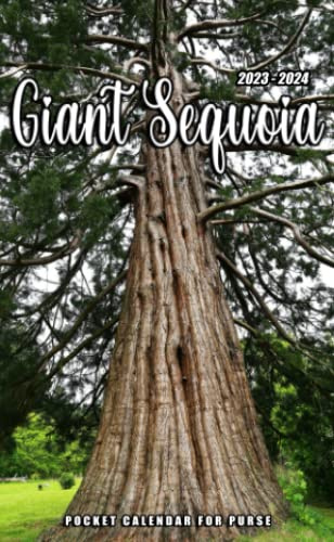 2023-2024 Giant Sequoia Pocket Planner: 2023 Monthly Planner With 2 Year Datebook Of Giant Sequoia Vitally Need For 24 Months Office Planner Small Size 4 x 6.5