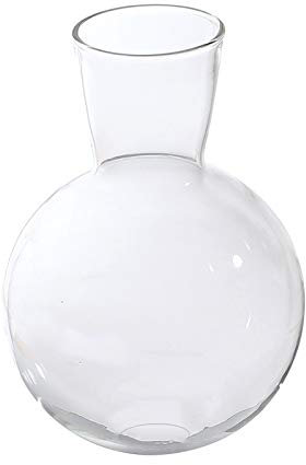 Gcljlmy Vaso a cipolla per impianto idroponico, decorazione per la casa