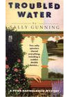 Troubled Water: A Peter Bartholomew Mystery