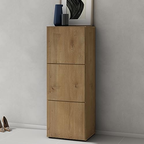 doporro Meuble à Chaussures 45x120cm Armoire à Chaussures 6 Compartiments
