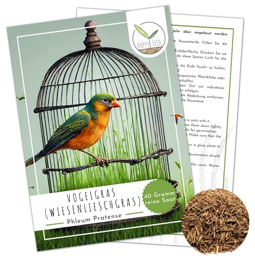 Semi di erba degli uccelli (Phleum pratense) - Foraggio verde fresco e prezioso cibo vitaminico per uccelli ornamentali e piccoli animali