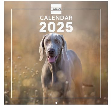 Finocam - Calendario Immagini da Parete Internazionale 2025 Layout Mensile Gennaio 2025 - Dicembre 2025 (12 mesi) Dogs Internazionale