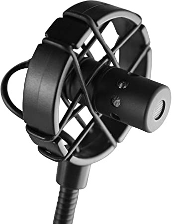 Prodipe BL21 instrumentmikrofon för kontrabas