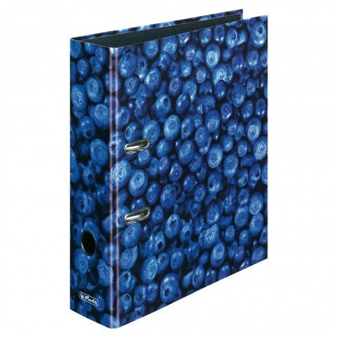 Motivordner diverse Motive zur Auswahl Ordner maX.file A4 Innenspiegel sw Rückenbreite 8 cm (3, Blaubeere)