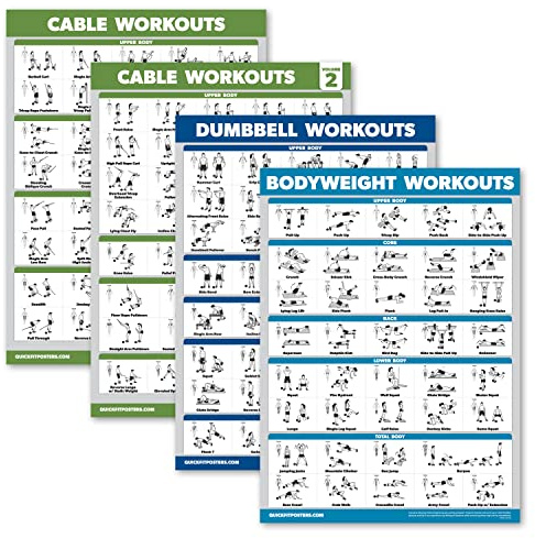 Palace Learning Kabelmaschinen-Workout-Poster, Band 1 & Band 2 + Hantelübungen + Körpergewichtsübungen (laminiert, 45,7 x 61 cm), 4 Stück