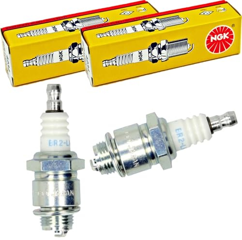 Zündkerzen Satz NGK (2 Stück) für Briggs & Stratton Rasenmäher wie RJ19LM WSR5F GL