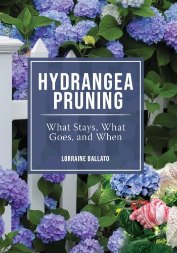 Hydrangea Pruning: What Stays, What Goes, and When