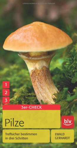 Pilze: Treffsicher bestimmen in drei Schritten