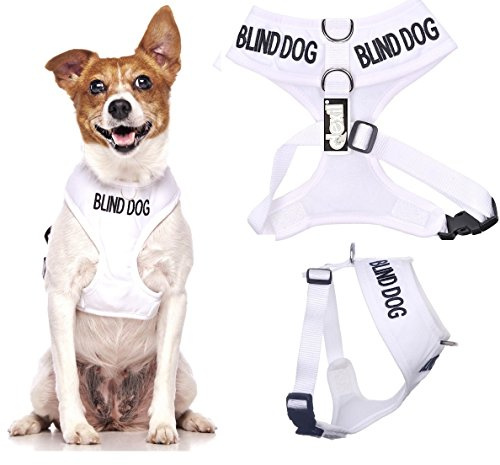 Dexil BLIND DOG (Dog Has Limited/No Sight) White Colour Coded Non-Pull Front and Back D Ring Padded and Waterproof Vest Dog Harness PREVENTS Accidents By Warning Others Of Your Dog In Advance (S)