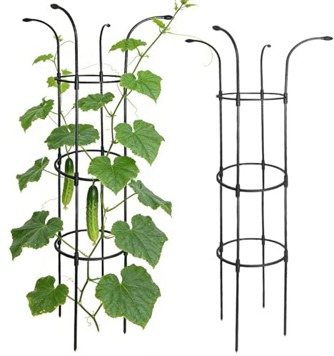Enrejado de sombrilla de jardín, soporte vertical decorativo para plantas trepadoras | Jaula de soporte de flores al aire libre - para vid, rosa, clemátide, fruta del dragón, pepino, hortensias